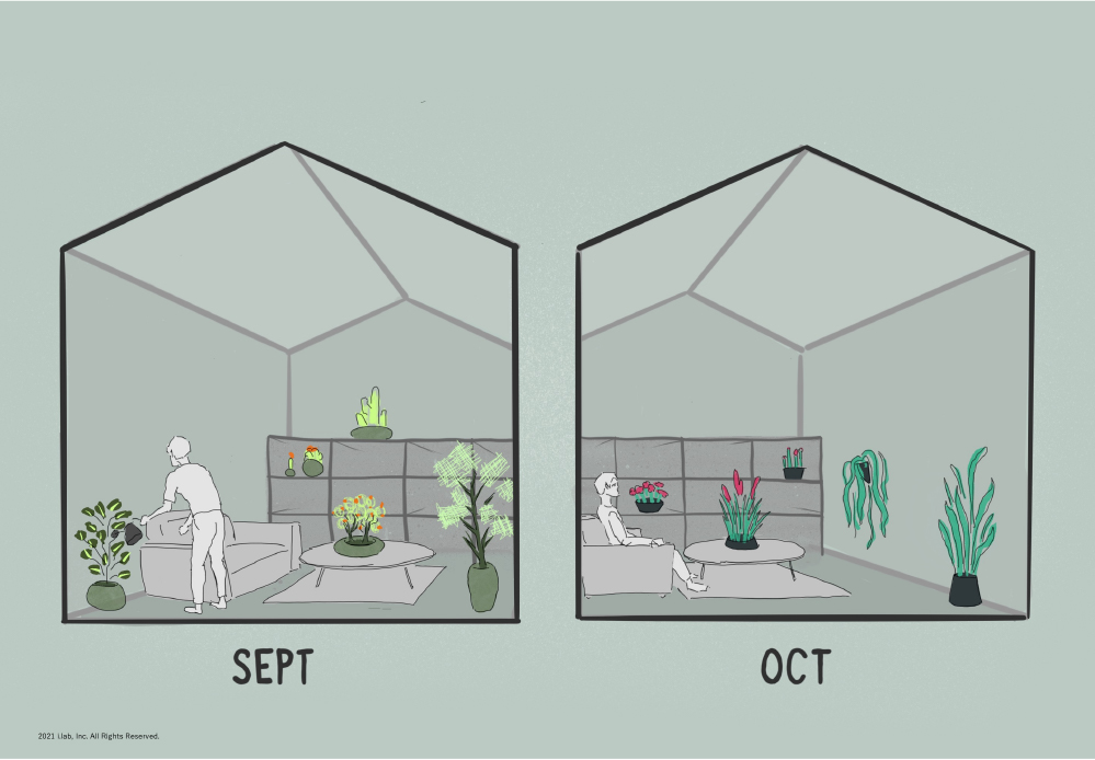 図5： 「定期的に観葉植物が届き、自宅の変化を楽しめるサブスクボタニカル」