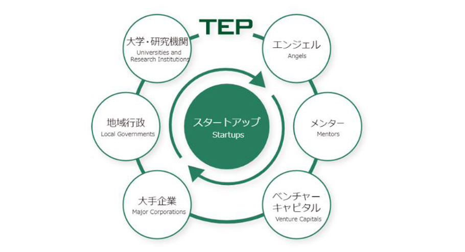 TEPイメージ